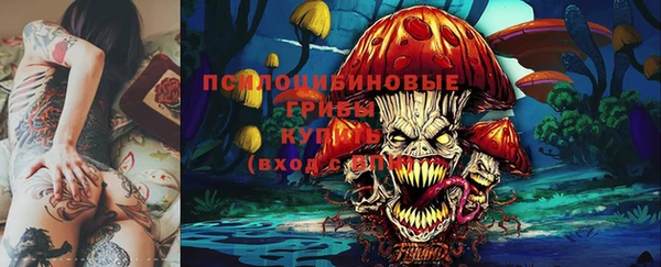 шишки Алексеевка