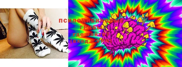 прущие крисы Алексин
