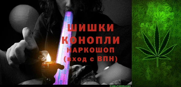 шишки Алексеевка
