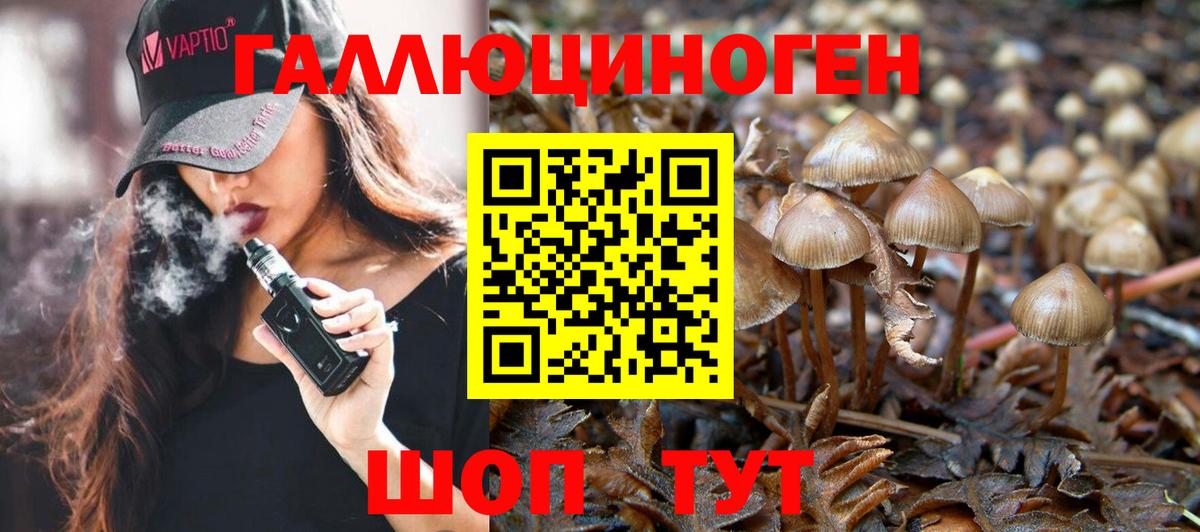 Камышин  Галлюциногенные грибы Magic Shrooms  Вход с VPN 